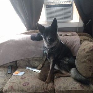 Meet your Posher, Mark